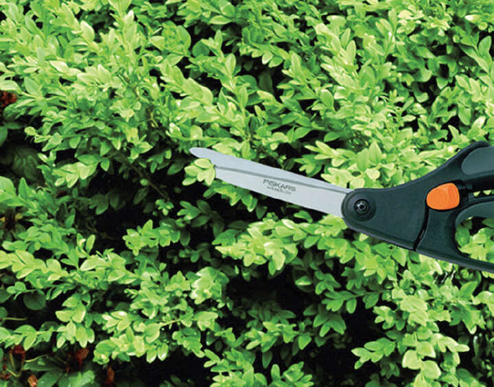 FISKARS Buchsbaumschere 26 cm